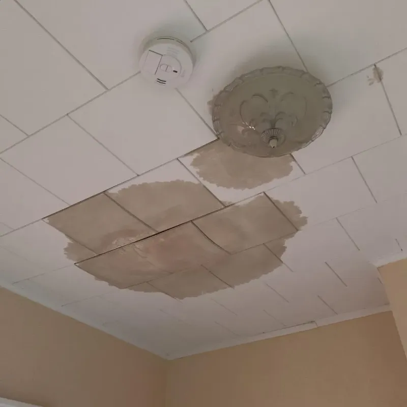 Ceiling Water Damage Repair in Big Lake, MN