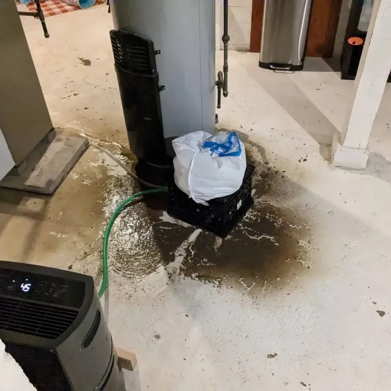 Sewage Backup Cleanup Service in Big Lake, MN